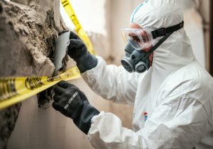 asbestos testing